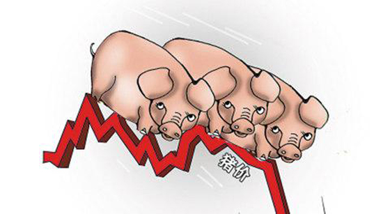 消费全返网_中国消费服务网官网多久能返现金_消费返积分